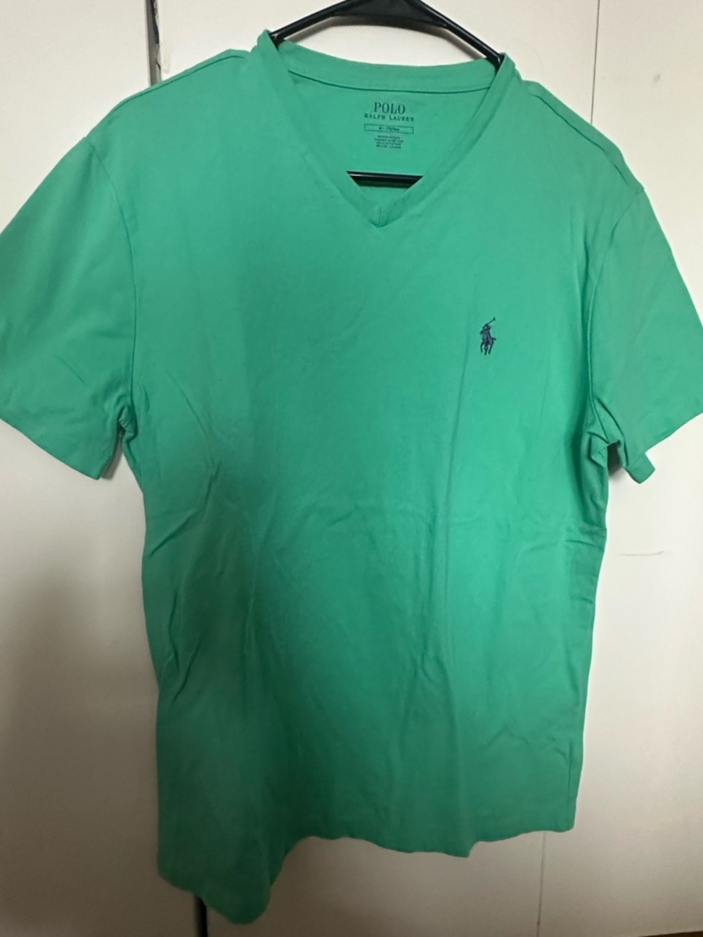 Polo by Ralph Lauren Men’s V-Neck Tee in Mint